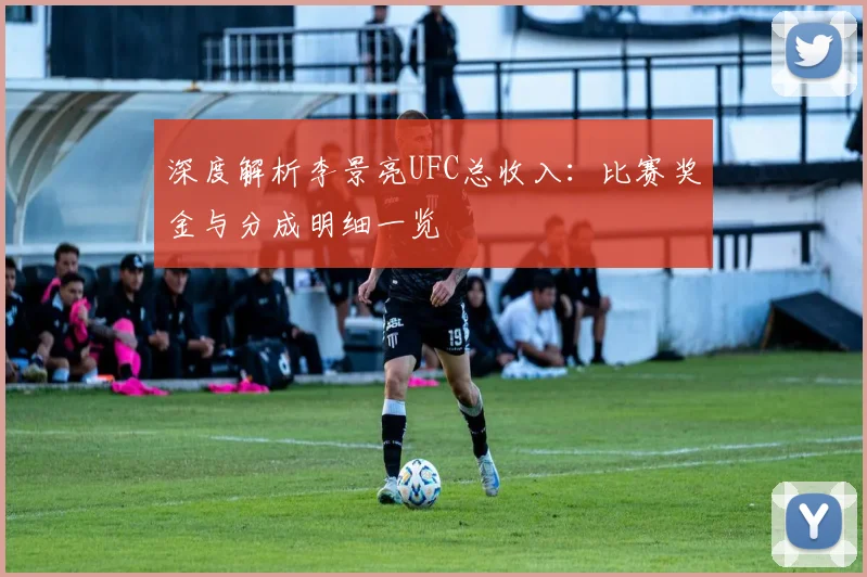 深度解析李景亮UFC总收入：比赛奖金与分成明细一览