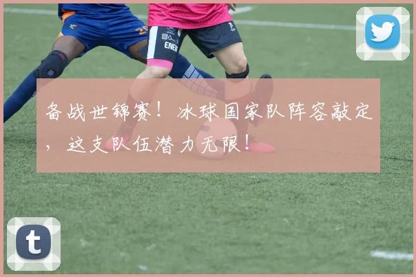 备战世锦赛!冰球国家队阵容敲定,这支队伍潜力无限!