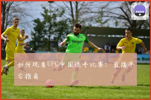 如何观看UFC中国选手比赛:直播平台指南