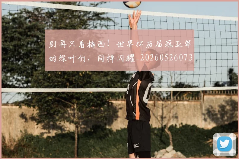 别再只看梅西！世界杯历届冠亚军的绿叶们，同样闪耀_20260526073155