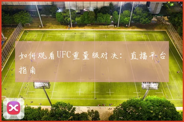 如何观看UFC重量级对决:直播平台指南