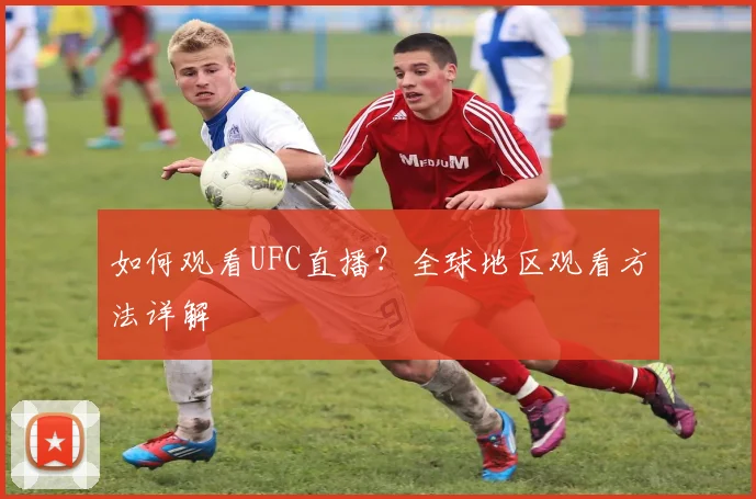 如何观看UFC直播?全球地区观看方法详解