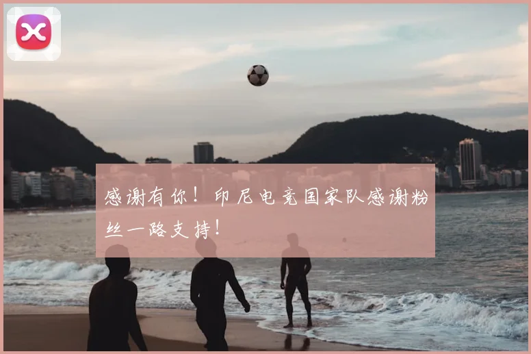 感谢有你！印尼电竞国家队感谢粉丝一路支持！