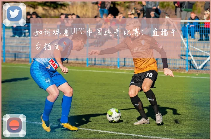 如何观看UFC中国选手比赛：直播平台指南