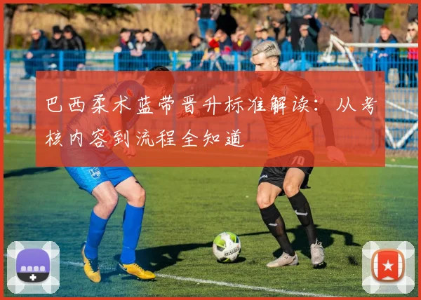 巴西柔术蓝带晋升标准解读：从考核内容到流程全知道