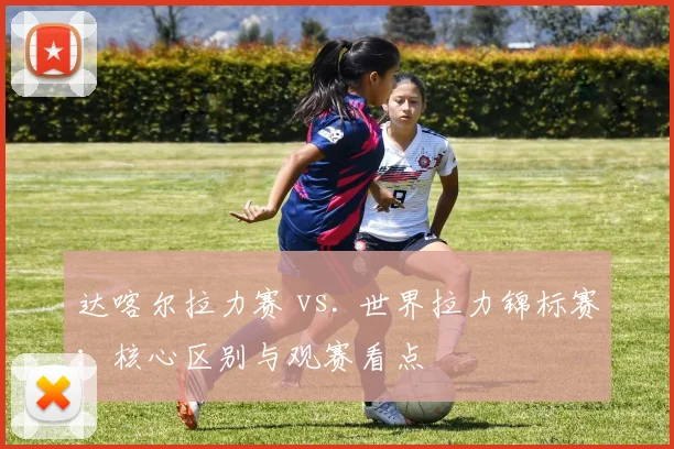 达喀尔拉力赛 vs. 世界拉力锦标赛：核心区别与观赛看点