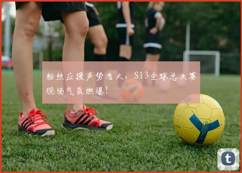 粉丝应援声势浩大,S13全球总决赛现场气氛燃爆!