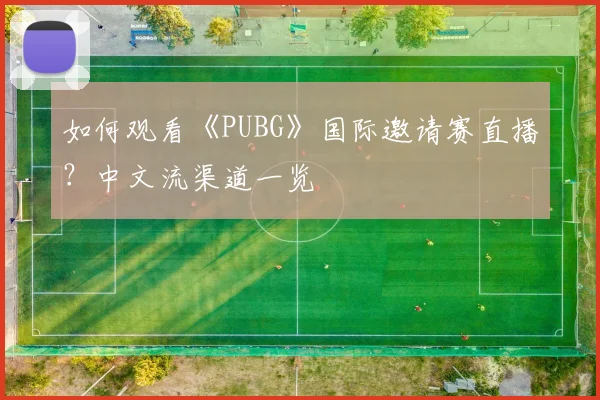 如何观看《PUBG》国际邀请赛直播？中文流渠道一览