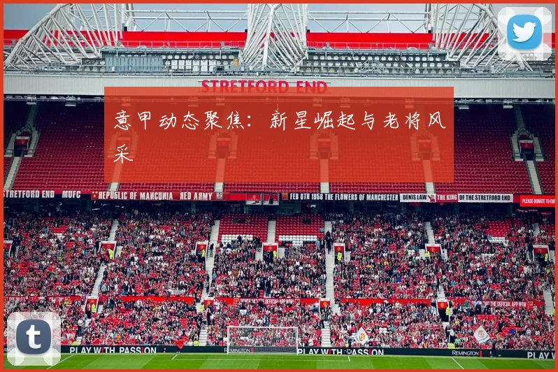 意甲动态聚焦：新星崛起与老将风采