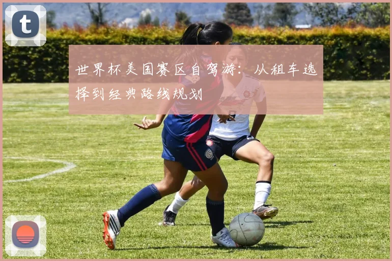 世界杯美国赛区自驾游：从租车选择到经典路线规划